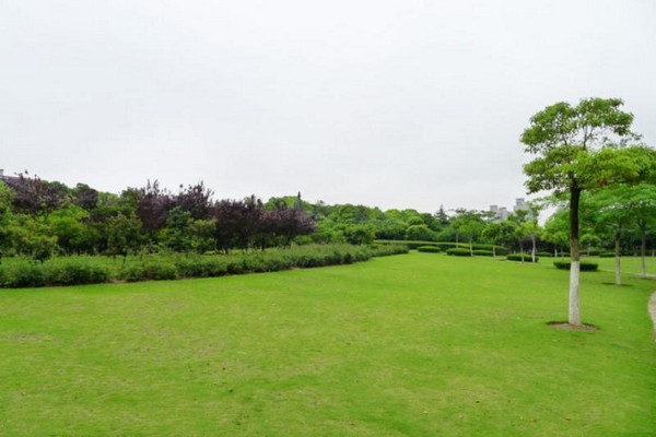 上海淞南公园旅游攻略