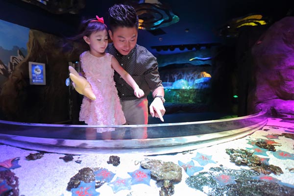 上海长风海洋世界旅游攻略