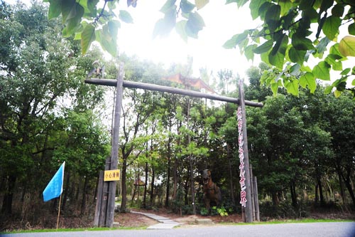 上海滨海森林公园旅游攻略