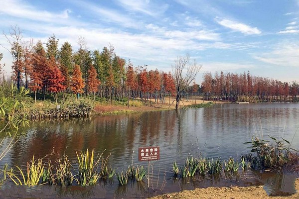 上海长兴岛郊野公园旅游攻略