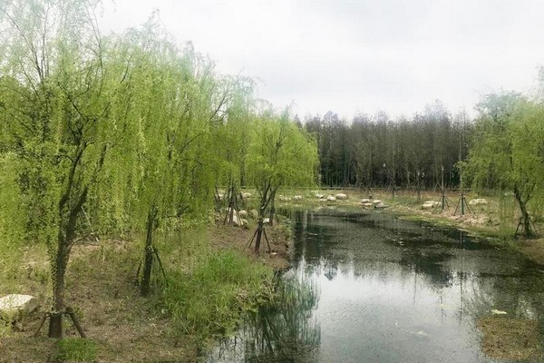 上海浦江郊野公园旅游攻略