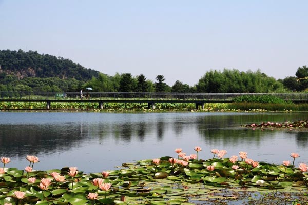 上海辰山植物园旅游攻略