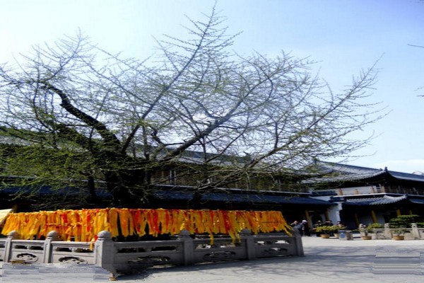 上海真如寺旅游攻略