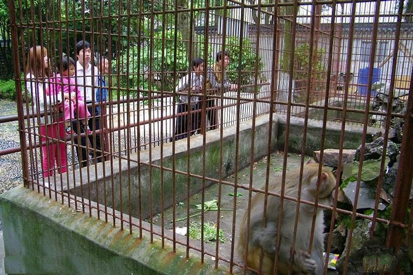 上海金山张堰公园旅游攻略