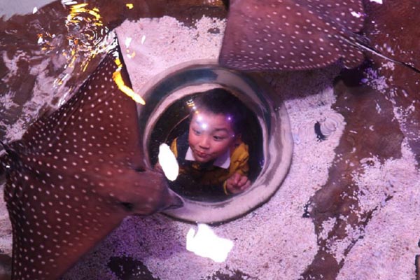 上海长风海洋世界旅游攻略