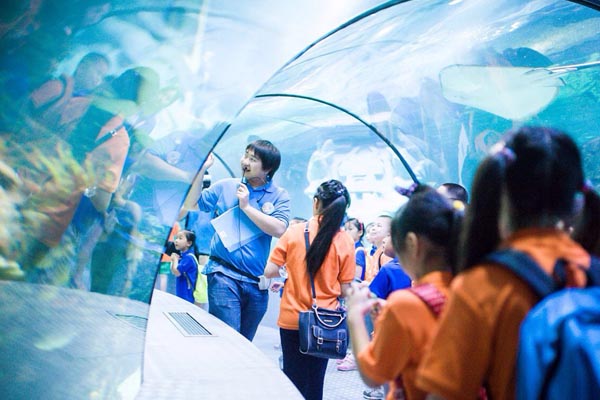 上海长风海洋世界旅游攻略
