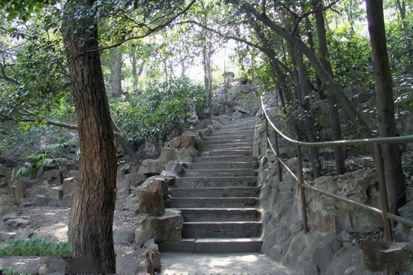 上海长风公园长风海洋世界景区旅游攻略