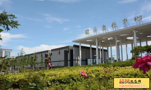 松林附近景点临清文化中心