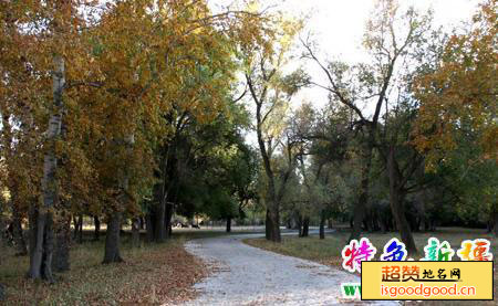 杜别克附近景点三道河坝