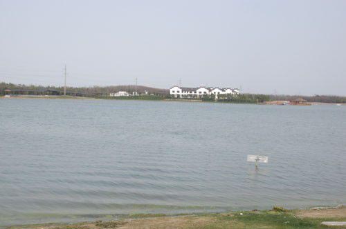 上海海湾国家森林公园旅游攻略