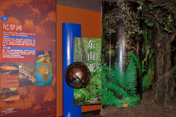 上海海洋水族馆旅游攻略