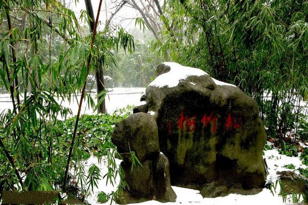 上海长风公园长风海洋世界景区旅游攻略