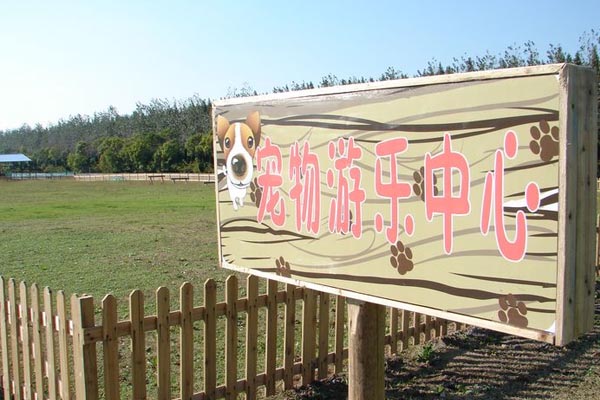 上海滨海森林公园旅游攻略