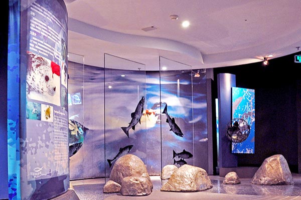 上海海洋水族馆旅游攻略