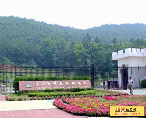 梓门桥附近景点九峰山森林公园