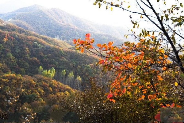临城崆山白云洞旅游区旅游攻略