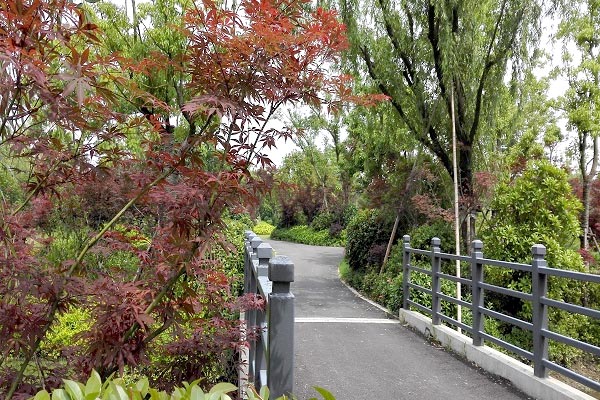 东平国家森林公园旅游攻略