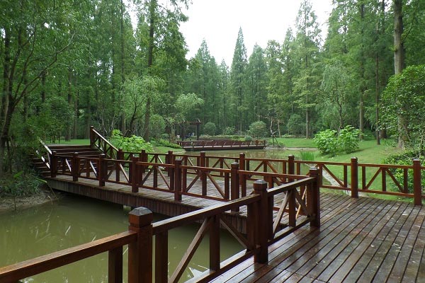 东平国家森林公园旅游攻略