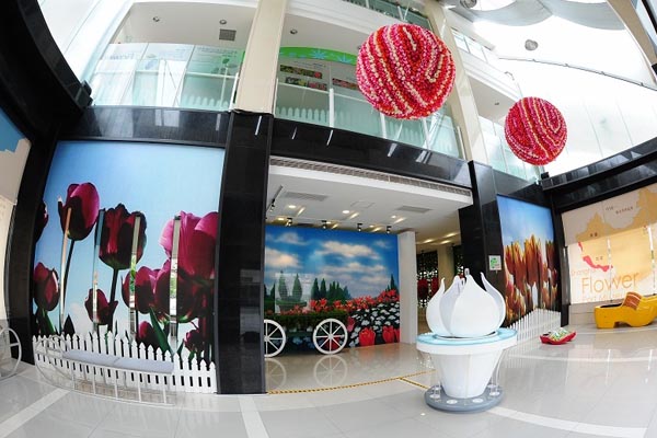 上海鲜花港旅游攻略