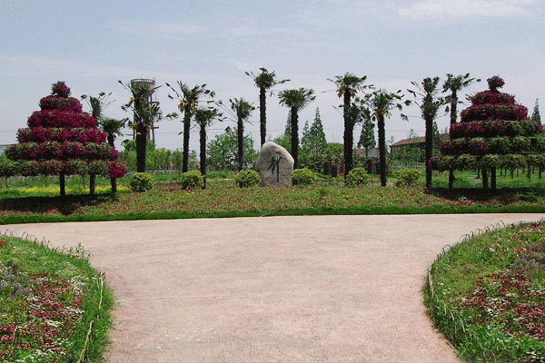 东平国家森林公园旅游攻略