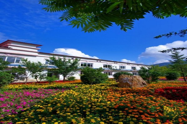 临江江心岛陈云公园旅游攻略