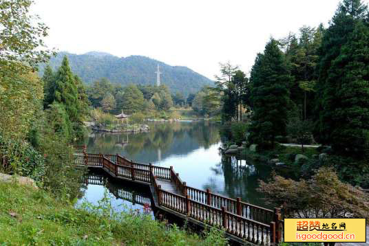 步云桥附近景点四明山森林公园
