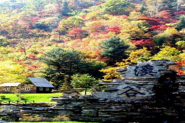 临江花山国家森林公园旅游攻略