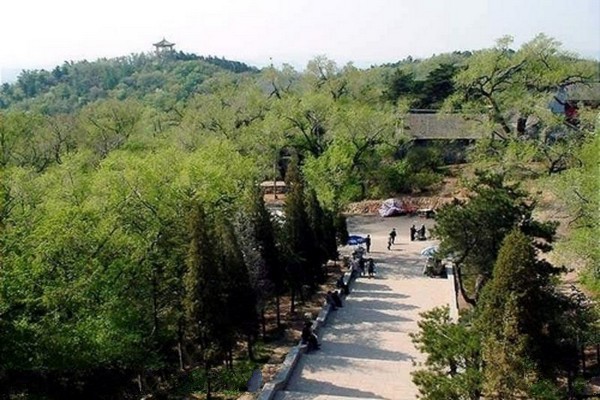 临江花山国家森林公园旅游攻略