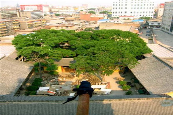 临汾铁佛寺（大云寺）旅游攻略