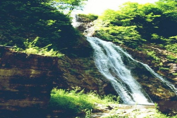 临江花山国家森林公园旅游攻略