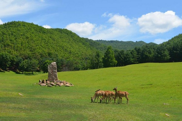 伊春大丰河漂流旅游攻略