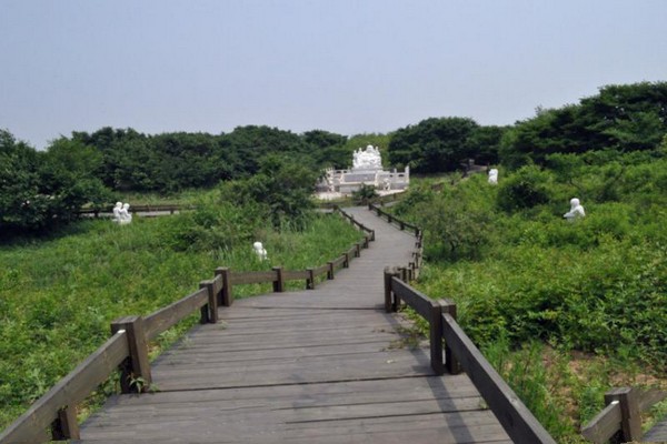 乐亭菩提岛旅游攻略
