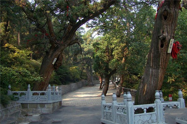 交城卦山旅游攻略