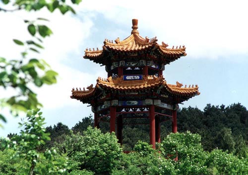 九龙山国家森林公园旅游攻略