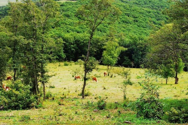 伊通火山群国家级自然保护区旅游攻略