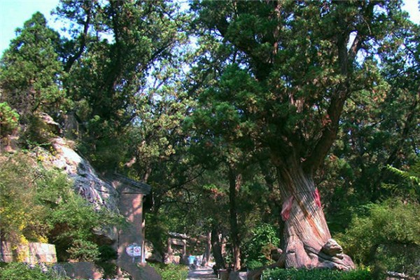 交城卦山旅游攻略