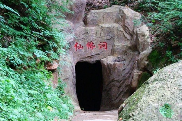 五女峰国家级森林公园旅游攻略