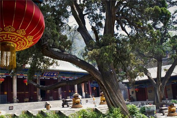交城卦山旅游攻略