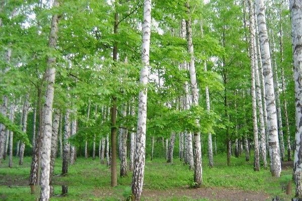 伊通牧情谷旅游攻略