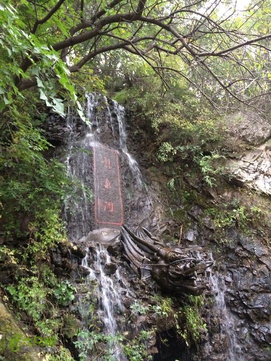九龙山国家森林公园旅游攻略