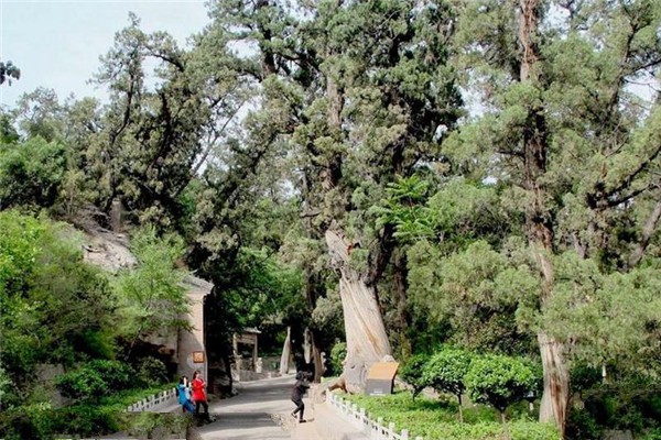 交城卦山旅游攻略
