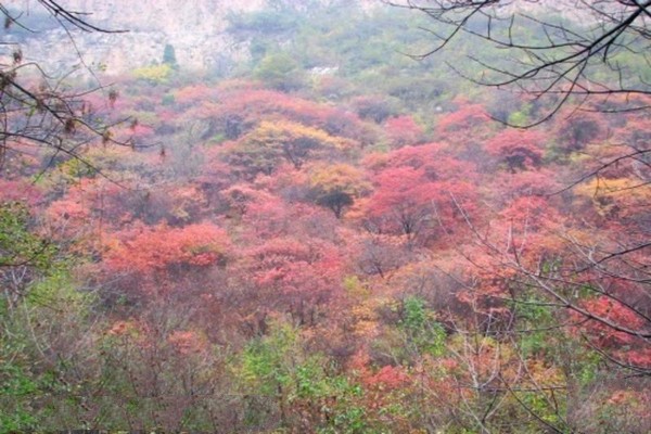 井陉仙台山风景区旅游攻略