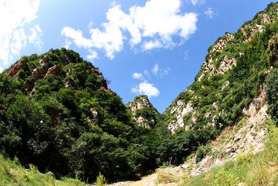 九山顶自然风景区旅游攻略