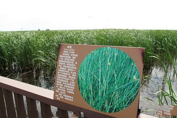 佳木斯富锦国家湿地公园旅游攻略