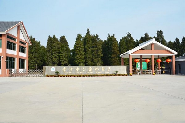 兴化李中水上森林景区旅游攻略