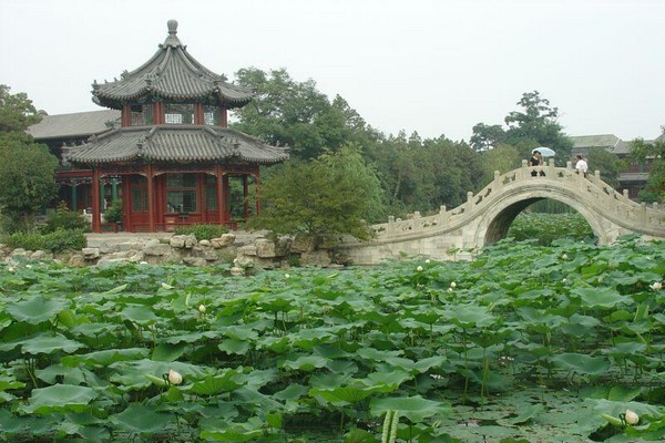 保定古莲花池旅游攻略