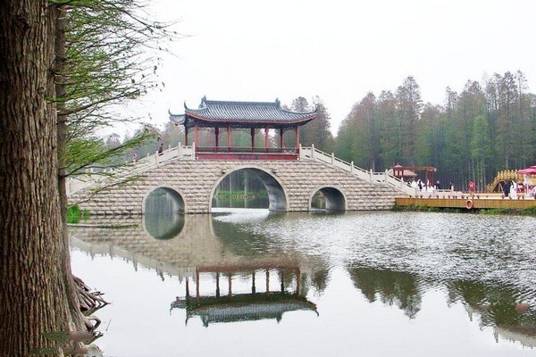 兴化李中水上森林景区旅游攻略