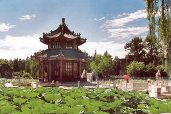 保定古莲花池旅游攻略