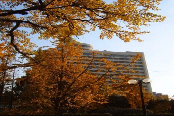 华东师范大学旅游攻略
