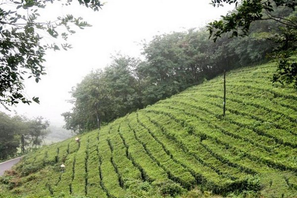 南京方山国家地质公园旅游攻略